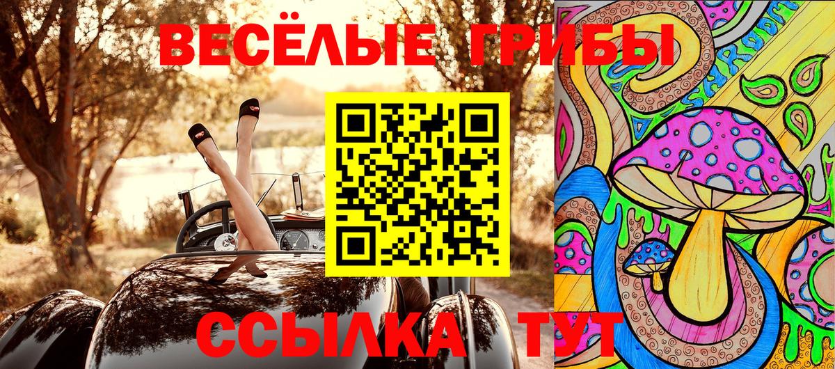 Псилоцибиновые грибы мицелий Бутурлиновка