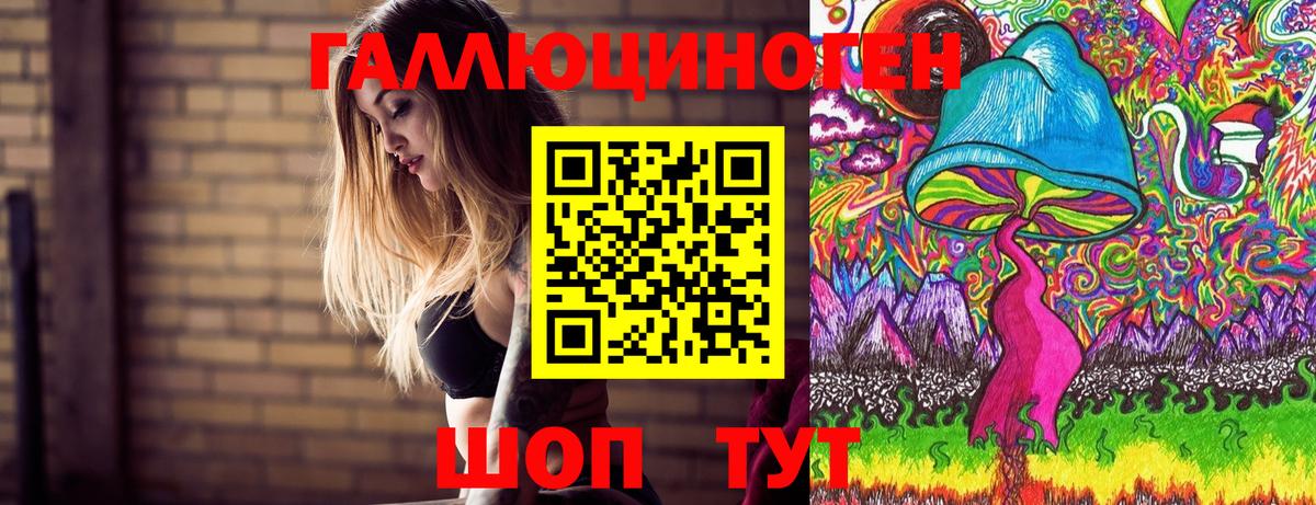 где купить наркоту  Псилоцибиновые грибы Cubensis  Вход с VPN  Бутурлиновка  Псилоцибиновые грибы мицелий 